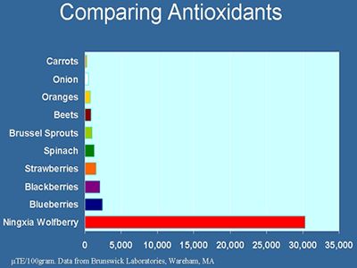 NingXia Wolfberry Compared to Other Antioxidants