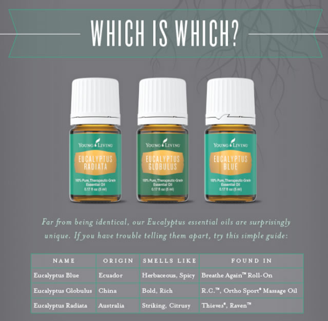 Young Living Eucalyptus Essential Oils