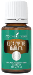  Young Living Eucalyptus radiata
